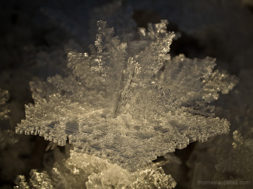 Nærbilde av stor iskrystall - Kuldeperiode setter sitt preg på Nesodden
